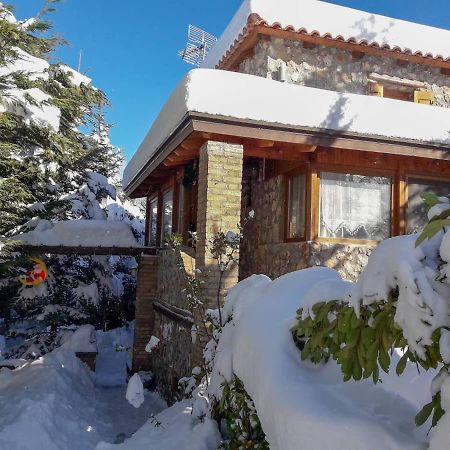 Livadi Chalet Arachova The Perfect Family Vacation エクステリア 写真