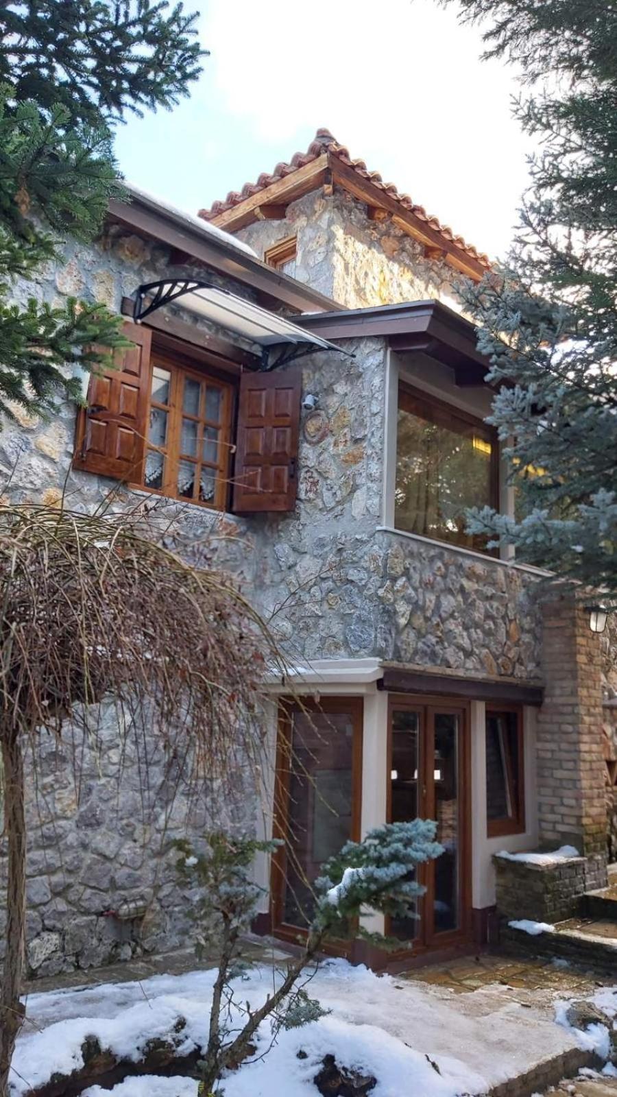 Livadi Chalet Arachova The Perfect Family Vacation エクステリア 写真